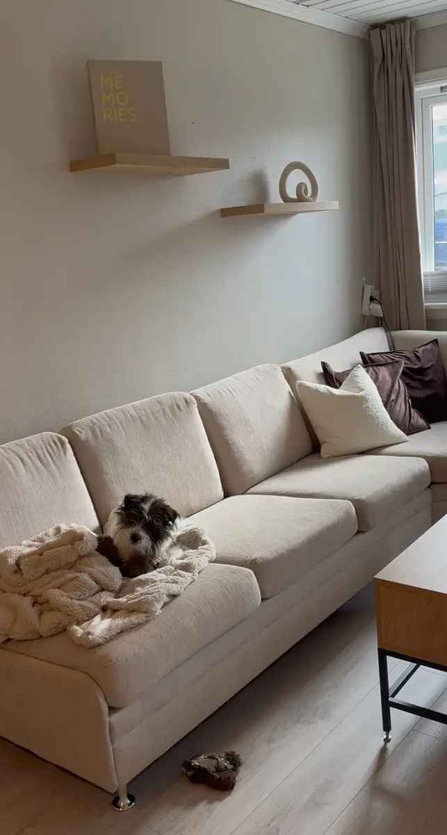 Leilighet til leie i Ålesund sentrum - 2 rom