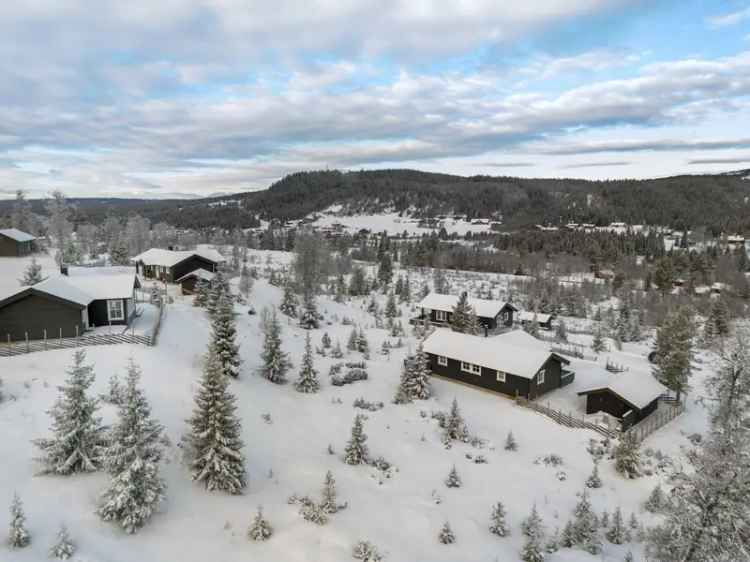 Hytte Tutelia 17 - Solrik og Velholdt Fritidseiendom