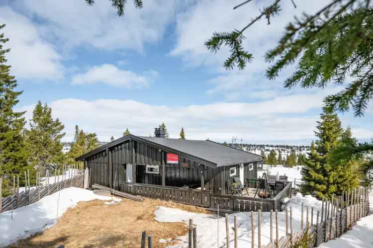 Hytte Sjusjøen Kroksjøen - Turmuligheter skiløyper