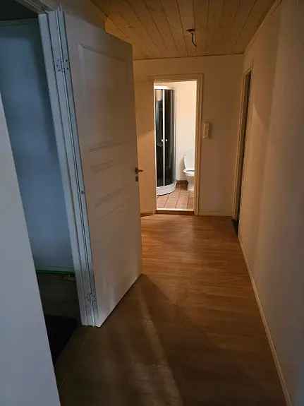 Sentral leilighet til leie Sarpsborg nar Tunevannet