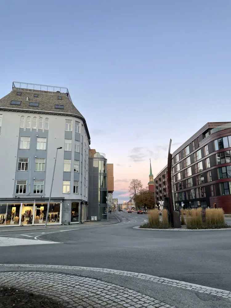 Rom i bofellesskap Trondheim sentrum
