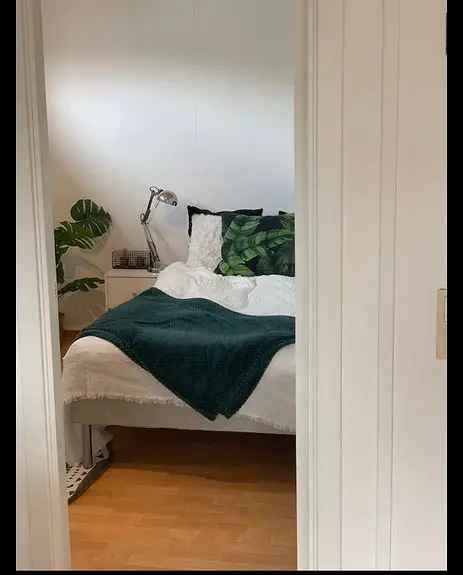 Stor Studentleilighet Naer UIA og Sentrum