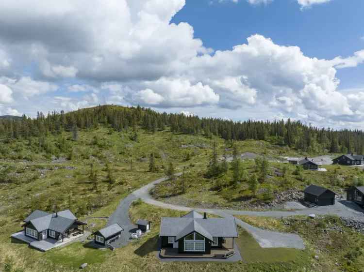 Flott og solrik tomt med utsikt. Bilvei helt frem til tomten. Godkjente tegninger. Rens-/kloakkanlegg etablert.