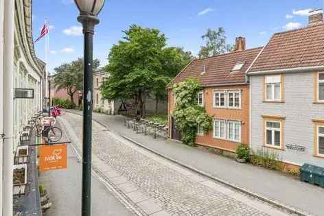 2-roms leilighet Bakklandet Trondheim - Sentral beliggenhet