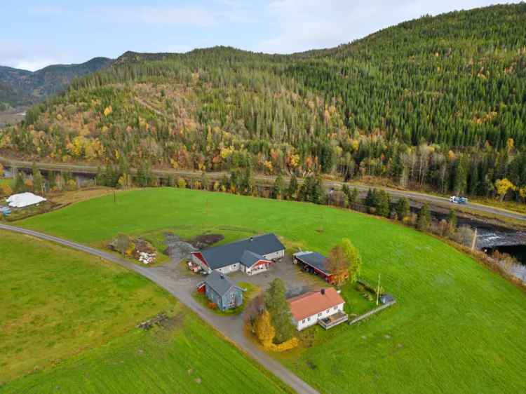 Gårdsbruk ved Nea med Ammekudrift og to boliger