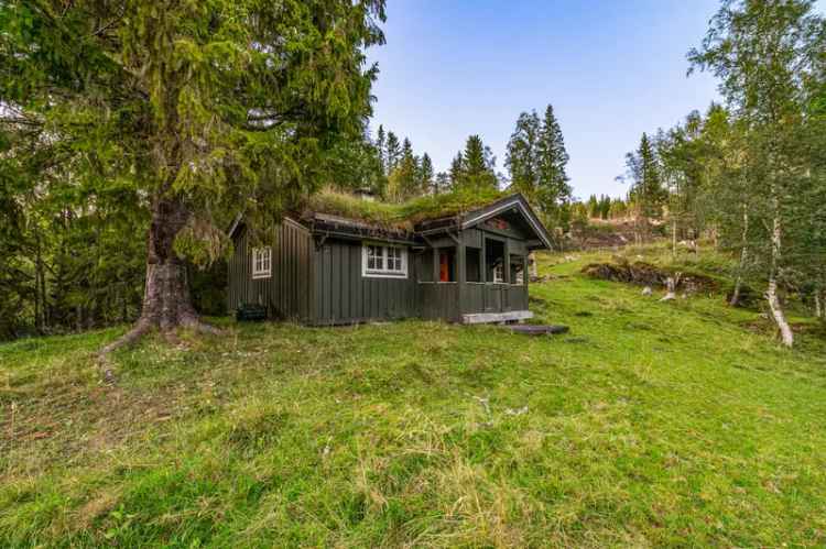 Sjarmerende Tømmerhytte Skatval - Vedfyring Solcelle