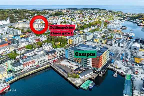 Sentralt bofelleskap nær campus - Strøm Wifi inkludert