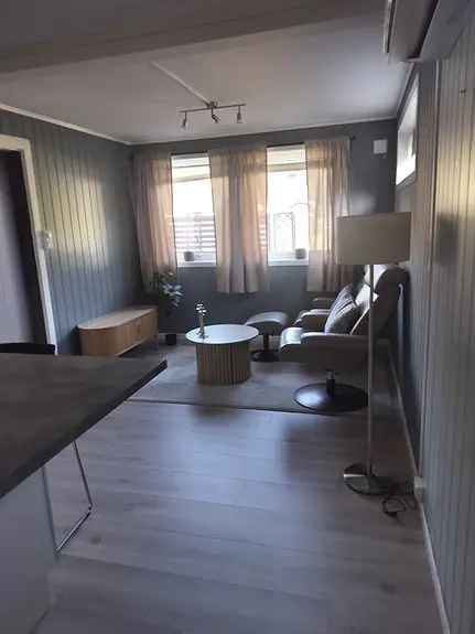 Hybelleilighet til leie Seljord Bringsås