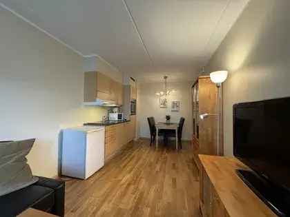 2-roms leilighet Trondheim - 33m² - Nyrenovert