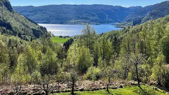 Innholdsrik enebolig med anneks pa flott utsiktstomt