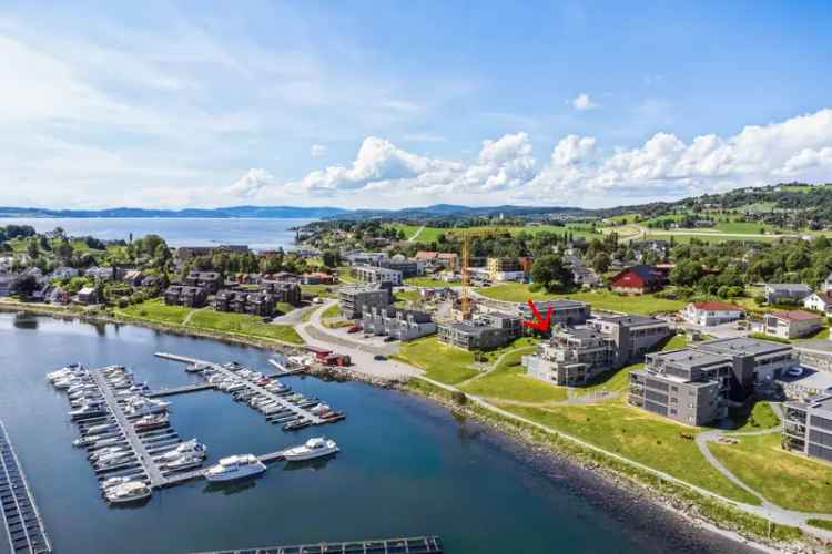 Stor leilighet ved Borgenfjorden 195 kvm Takterrasse