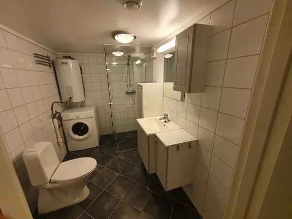 3-roms Kjellerleilighet til Leie Stavanger Sentrum