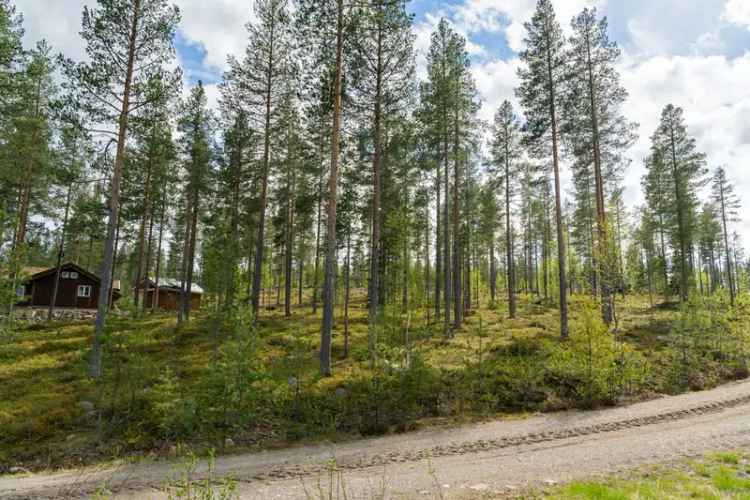 Osensjøen Vest Hyttetomt - Flott Utsikt og Natur