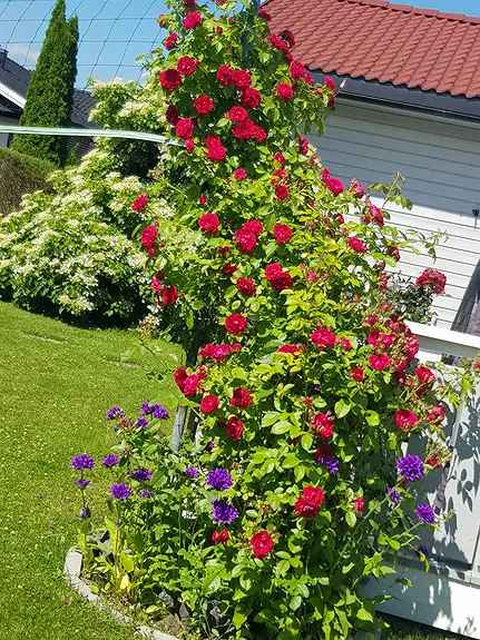 Kjellerleilighet Hokksund Sentrum Alt Inkludert