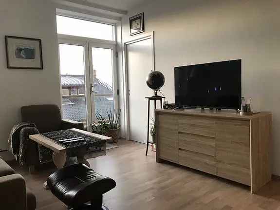 2-roms leilighet Holmestrand Brygge - Nær tog og sjø