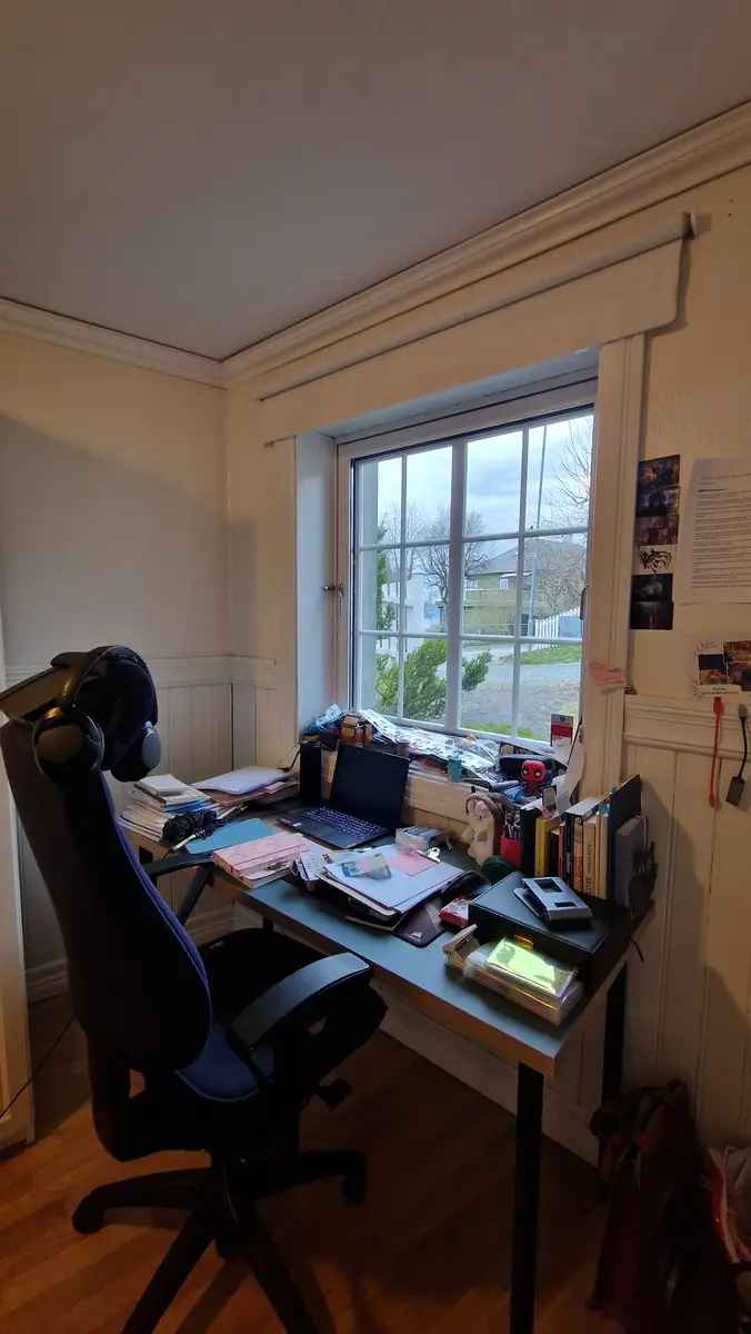 Rom i bofellesskap Trondheim Berg Nar Gløshaugen St Olav