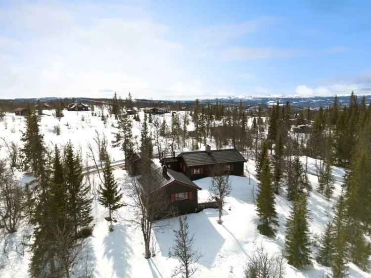 Hyttetun ved Skåletjednet - Idyllisk beliggenhet