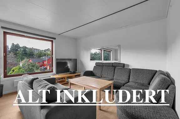 6 Roms Bofelleskap Nær UIA - Alt Inkludert