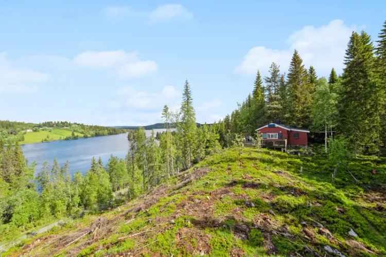 Hytte ved Skumsjøen med båtplass - Idyllisk natur og flotte turmuligheter