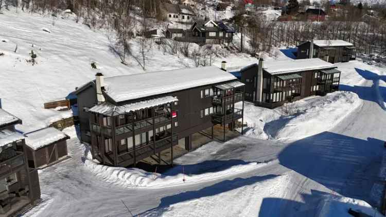 Lekker 4-roms Fritidsleilighet Myrkdalen Ski In