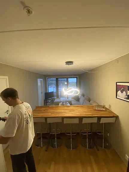Stor leilighet for menn i 20-årene Ulven