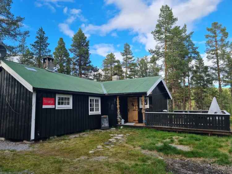 Koselig hytte med strøm og turterreng