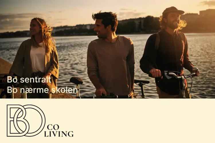 2-roms Leilighet Steinan Studentby Trondheim