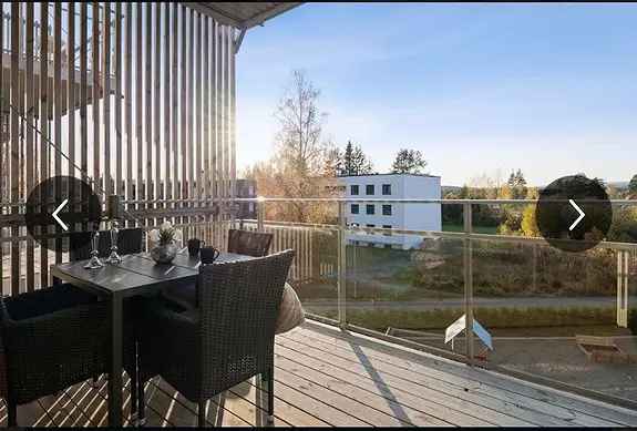 Moderne 2-roms leilighet Fjeldsetlia Park
