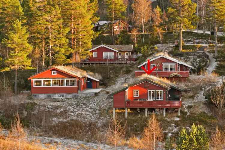 Hytte Gautefall - Skisenter Nærhet