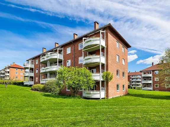 Lys 3-roms leilighet med peis og balkong Etterstad