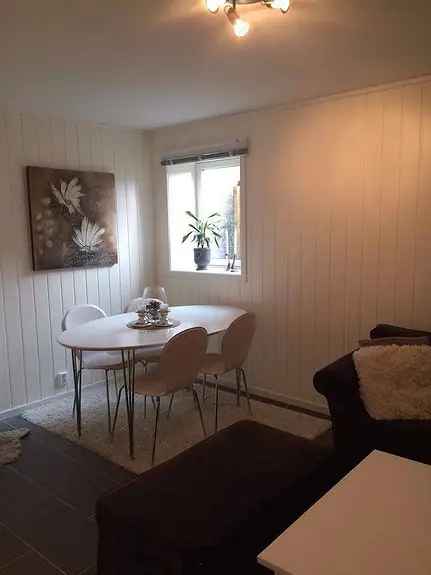 3-roms Leilighet Hønefoss Sentrum -  Varmekabler, Hvitevarer