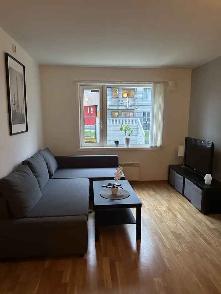Hybel til leie Trondheim Bergheim Moholt 1 rom