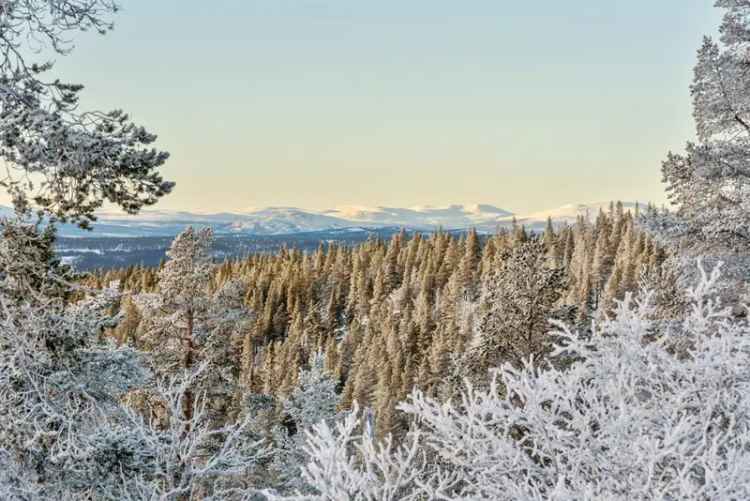Hyttetomt Renåfjellet - 5370m2 - Utsikt - Skiløyper