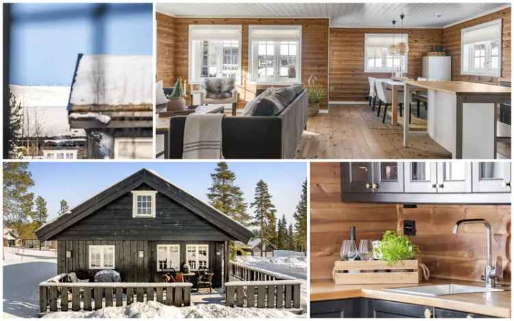 Helårshytte Trysilfjellet 2016 Ski Inn Ut