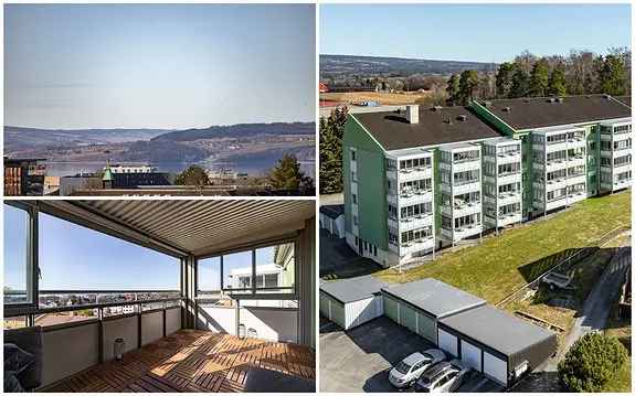 Lys 3-roms Toppleilighet Hamar Mjøsutsikt
