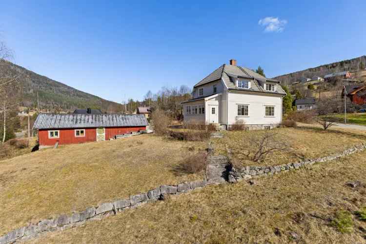 Sjarmerende Enebolig i Tinn Austbygd