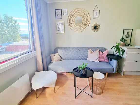 Ny Oppusset Leilighet Drammen Sentralt 2025