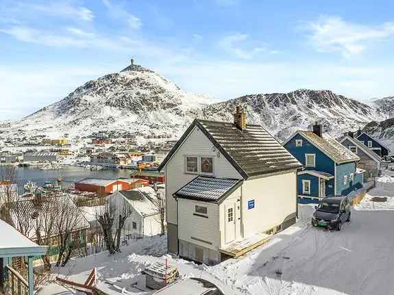 Enebolig Rypefjord - Moderniseringsbehov