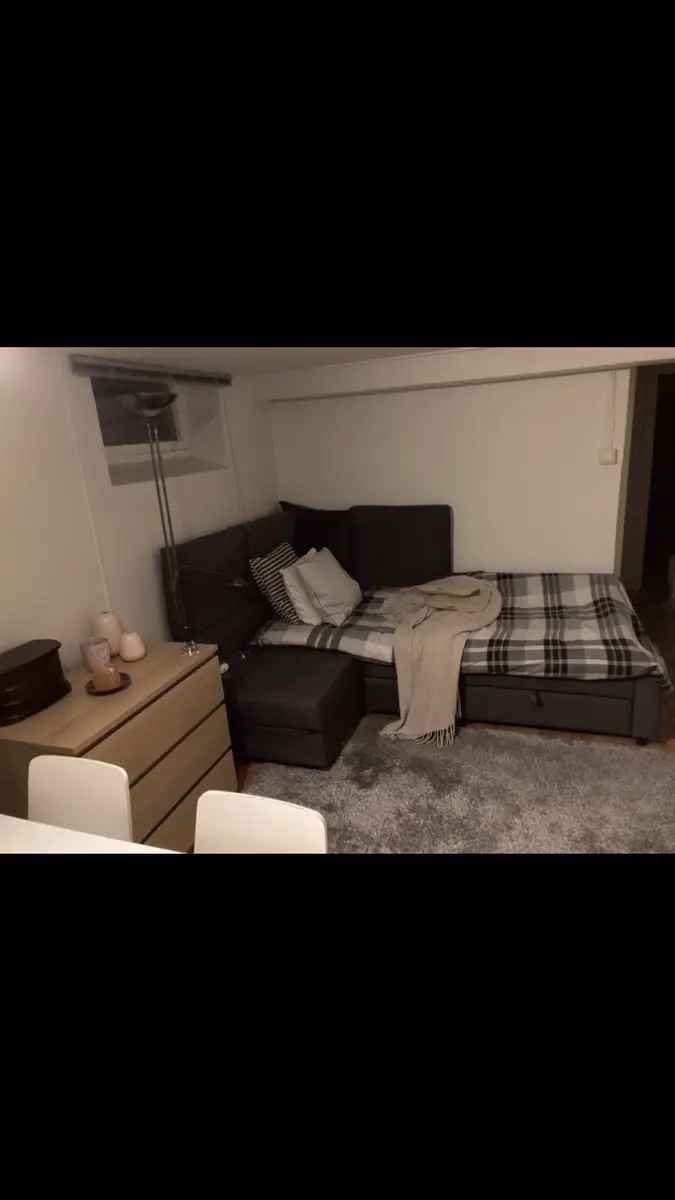 1-roms leilighet til leie i Oslo - rolig område nær offentlig transport