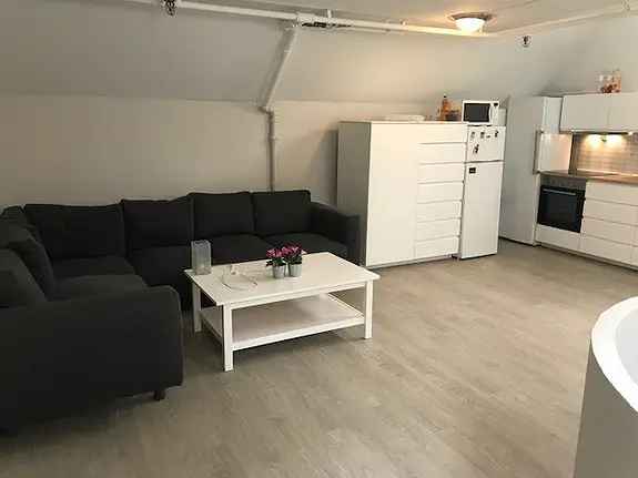 Stor leilighet ved Blåsteinen - 2 rom ledige