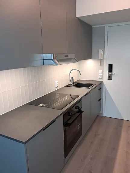 Nyåpusset 1-roms leilighet Lillestrøm