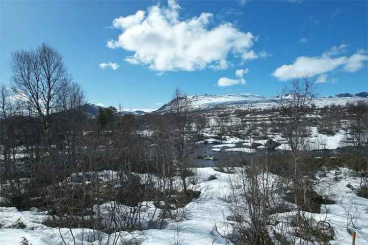 Lundane hyttegrend 48 - Idyllisk hytte ved Otra