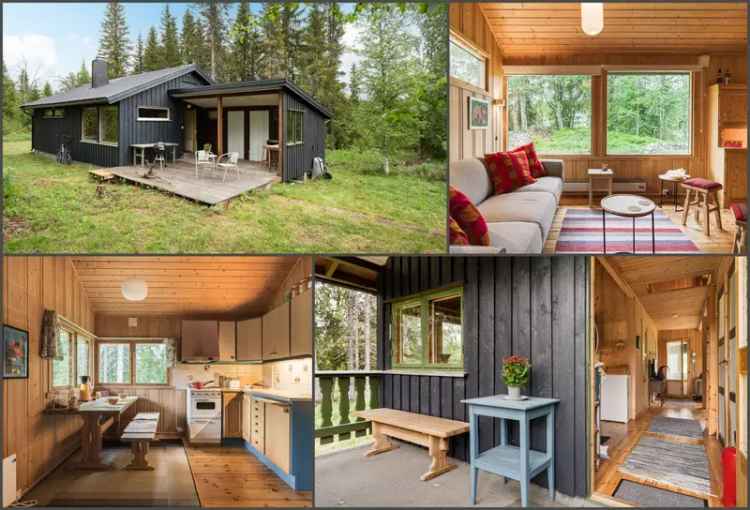 Sjarmerende Hytte ved Slemdalen - Jaktturer og Fiske