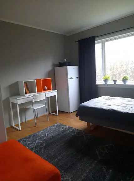 Hybler Porsgrunn Sentrum Nar USN Moblert Gratis Internett