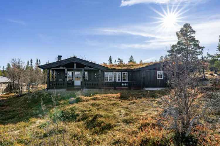 Helårshytte Engerdal Østfjell 4 soverom Vestvendt terrasse