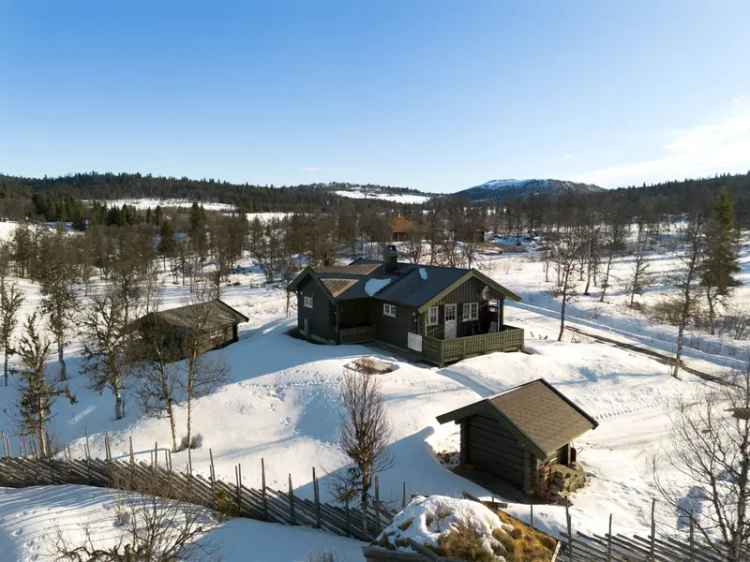 Hyttetun ved Jomfruslettfjell - Ski og Tur Paradis