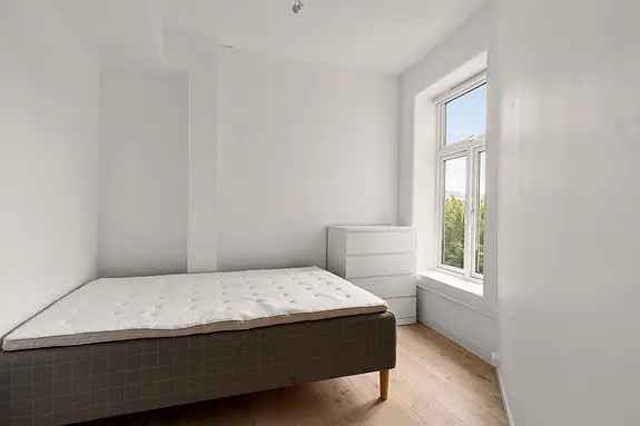 Ledig Rom i Jentekollektiv Oslo Sentrum