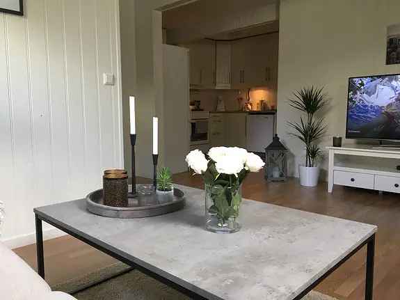Leilighet til leie pa Tindlund 50m2