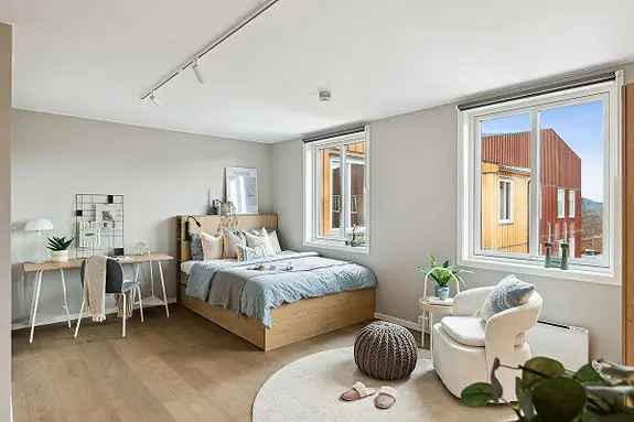 Classic Studio - Studentleilighet i Voll