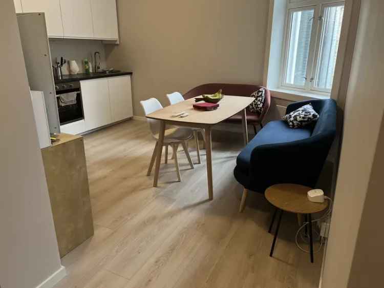 Rom til leie i Oslo sentrum - Nyoppusset leilighet